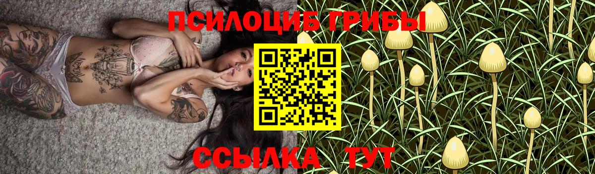 Галлюциногенные грибы Cubensis Сибай