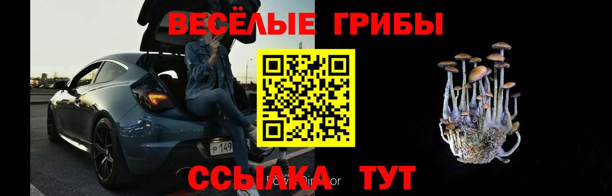 Псилоцибиновые грибы GOLDEN TEACHER  Галлюциногенные грибы Psilocybe  Вход с VPN  Сибай 